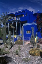 MOROCCO, Marrakech, The Jardin Majorelle . Ornamental garden with cactus and palm trees and Colbolt