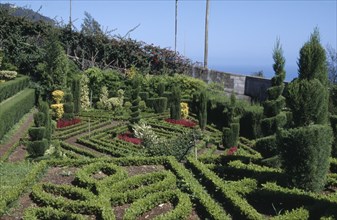 PORTUGAL, Madiera, The Jardim Botanico botanical gardens near Funchal