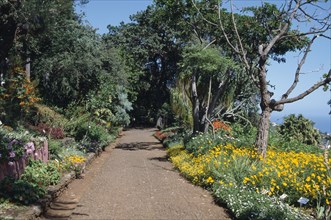 PORTUGAL, Madiera, Jardim Bontanico botanical gardens near Funchal