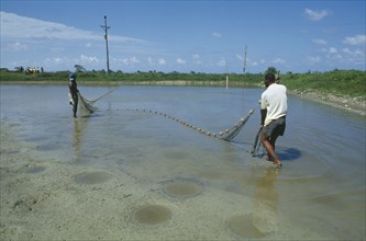 CARIBBEAN, Jamaica, Annotto Bay, Two men pulling in a net in the pool at the fish farm project