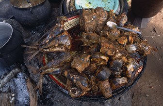 NIGERIA, Enugu, Fish being grilled in the market