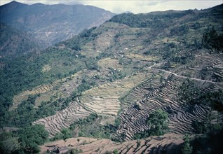 INDIA, Gahwal Region, Environment, Landscape with soil erosion caused by deforestation