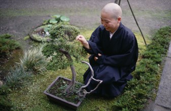 JAPAN, People, Zen Buddhist monk and bonsai tree