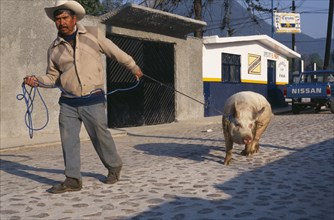 MEXICO, Michoacan, San Felipe, Man leading pig along street.