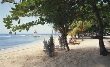 JAMAICA, Montego Bay, Beach and trees at the Half Moon Hotel