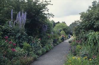 IRELAND, County Cork, Bantry Bay, Pathway leading along herbaceous borders of gardens