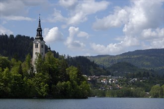 SLOVENIA, Lake Bled, View over the lake toward Bled Island with the tower of the Church of the