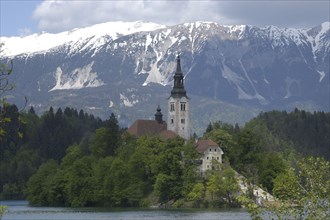 SLOVENIA, Lake Bled, View over the lake toward Bled Island and the Church of the Assumption with