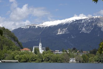 SLOVENIA, Lake Bled, Pristiva. View from the lake toward the Church of St Martin with snow capped