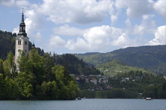 SLOVENIA, Lake Bled, Bled Island and tower of the Church of the Assumption