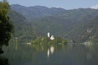 SLOVENIA, Lake Bled, View over the lake toward Bled Island and tower of the Church of the