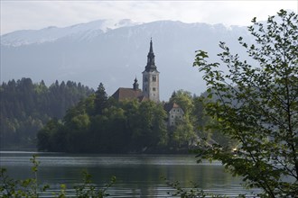 SLOVENIA, Lake Bled, View over the lake toward Bled Island and tower of the Church of the