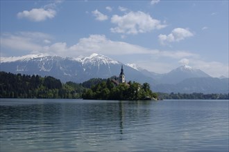 SLOVENIA, Lake Bled, View over the lake toward Bled Island and tower of the Church of the