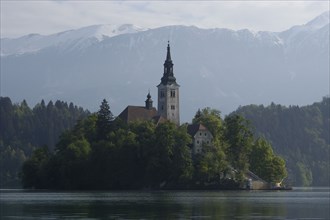 SLOVENIA, Lake Bled, View over the lake toward Bled Island and tower of the Church of the