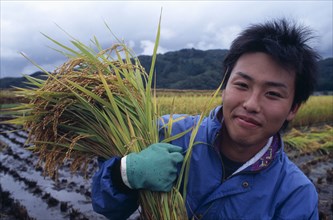 JAPAN, Honshu, Densho en, Young male farm worker harvesting rice