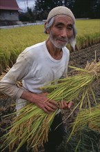 JAPAN, Honshu, Densho en, Farm worker harvesting rice by hand