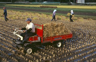 JAPAN, Honshu, Densho en, Farm workers gathering rice bales for loading on to small truck in the