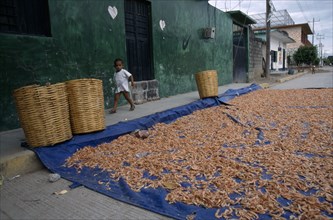 MEXICO, Oaxaca, Juchitan, Shrimps spread out to dry on blue canvas in the street with small boy
