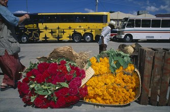 MEXICO, Oaxaca, Street scene with large bundles of brightly coloured flowers for Day of the Dead on