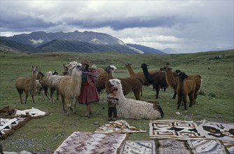 PERU, Cusco, Woman and children with llamas and Indian textiles spread out on grass in foreground.