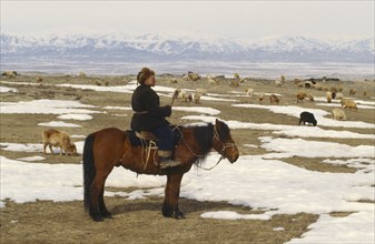 CHINA, Xinjiang Province, Altai Mountains, Kazakh herder on horseback with flock of sheep grazing