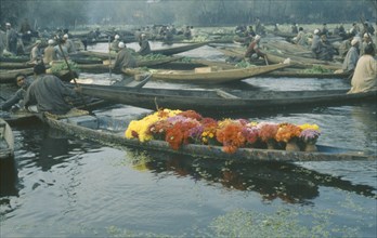 INDIA, Kashmir, Srinigar, Early morning market on Dal Lake with wooden canoe full of flowers in the