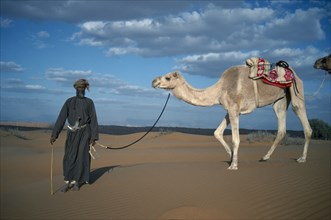 OMAN, Wahiba Sands, Bedouin man leading camel across sand.