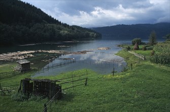 ROMANIA, Carpathian Mountains, Tree covered lower slopes with cut timber floating on Lake Bicaz in
