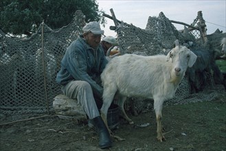 ROMANIA, Danube Delta, Shepherd milking goat.