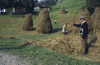 UKRAINE, Farming, Farmers working in field with traditional hayricks.