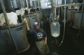 USA, Vermont, Dairyman and cows in milking parlour.