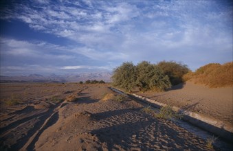 CHILE, Atacama Desert, Desert landscape and irrigation channel.