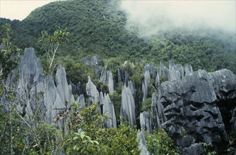 MALAYSIA, Sarawak, Gunung Mulu N. Park, Pinnacles limestone rock formation.