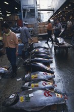 JAPAN, Honshu, Tokyo, Tuna fish for sale at Tsukiji Market.