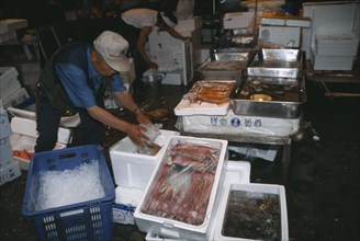 JAPAN, Honshu, Tokyo, Tsukiji fish market.  Man packing squid or octopus in ice.