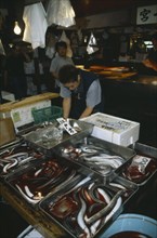 JAPAN, Honshu, Tokyo, Eels for sale at Tsukiji fish market.