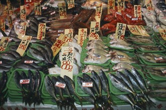 JAPAN, Honshu, Tokyo, Fish display in supermarket.