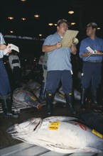 JAPAN, Honshu, Tokyo, Tsukiji Market.  Tuna fish for sale and auctioneer.