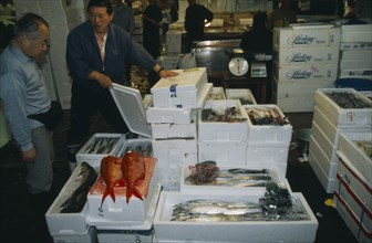 JAPAN, Honshu, Tokyo, Tsukiji Market.  Fish buyers looking at fish packed in ice for sale.