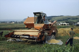 UKRAINE, Ivano Frankivsk, Agricultural workers collecting grain from combine harvester in plastic