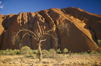 AUSTRALIA, Northern Territory, Uluru, Ayers Rock.