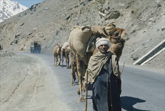 AFGHANISTAN, Transport, Man leading camel train along road with truck travelling in opposite