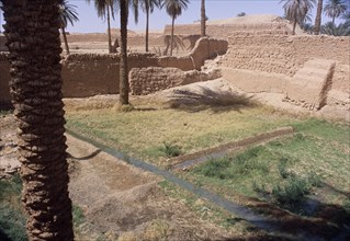 LIBYA, Ghadames, Walled garden with irrigation channels.