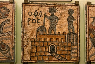 LIBYA, Cyrenaica, Qasr Libya, Detail of Byzantine mosaic in museum at site of fort and church