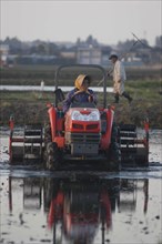 JAPAN, Chiba, Tako, "Mr. and Mrs. Katsumata, both over 70 years old, prepare rice field in spring,