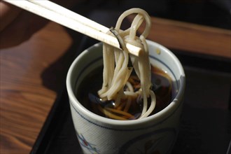 JAPAN, Chiba, Tako, """zaru soba"" cold buckwheat noodles, dipped in ""tsuyu"" soy sauce-based