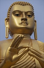 SRI LANKA, Dambulla, Face of a Golden Buddha at the Buddhist Museum