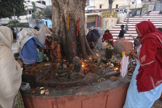 INDIA, Uttar Pradesh, Varanasi, Hindu women worshipping Shiva Lingams around a chautara tree at Asi