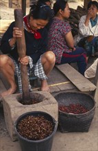 THAILAND, Chiang Mai Province, Mueng Keurt, Woman grinding coffee seeds to remove chaff