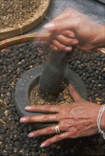 THAILAND, Chiang Mai Province, Mueng Keurt, Woman grinding coffee seeds with a pestle and mortar to
